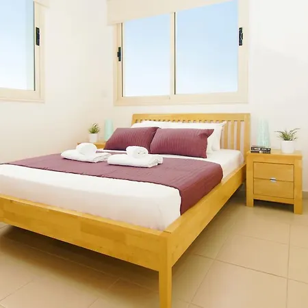 Aster * Paralimni
